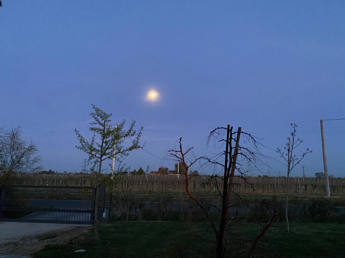 Sotto La Luna Casa In Campagna Castel Bolognese Exteriér fotografie