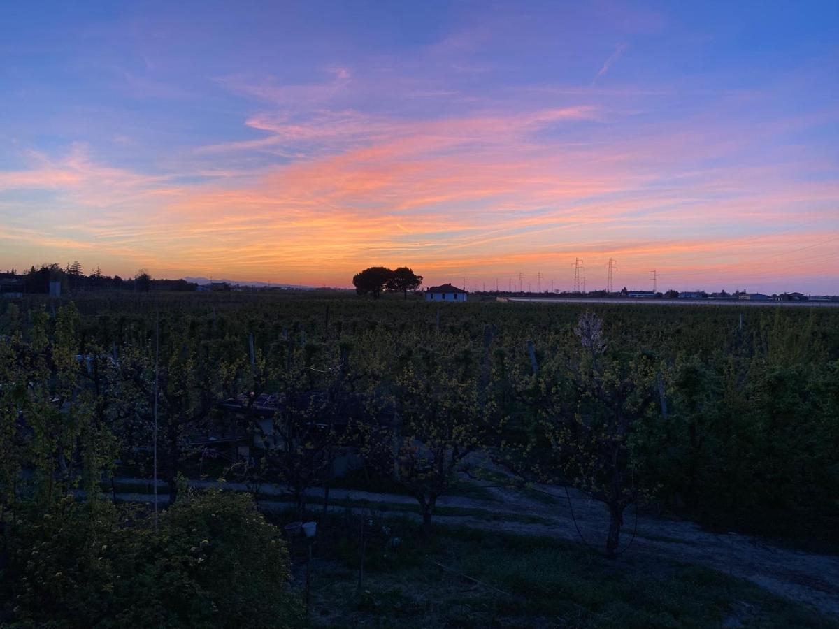 Sotto La Luna Casa In Campagna Castel Bolognese Exteriér fotografie